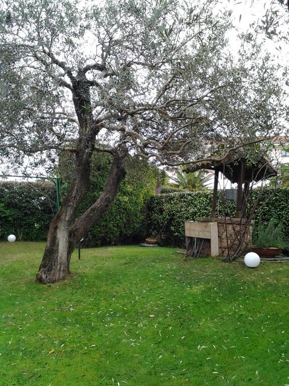 Robert House Apartman Alghero Kültér fotó